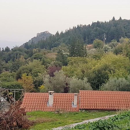Luxury House In The Hills Konuk evi Sparta Dış mekan fotoğraf